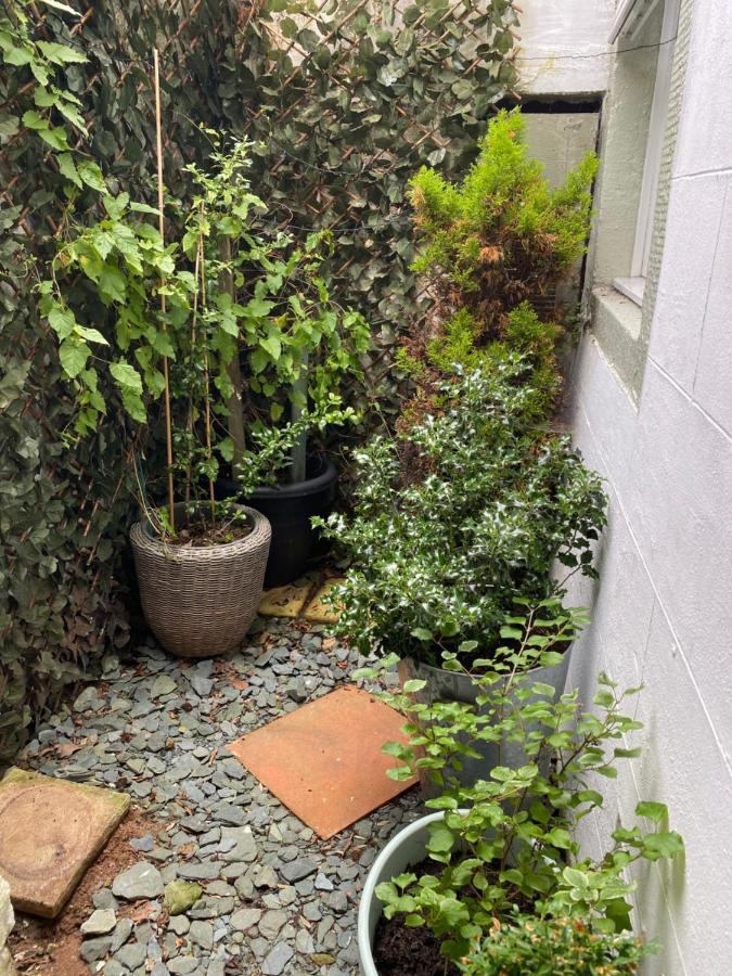 Busy Beas Cottage ووركينجتون المظهر الخارجي الصورة
